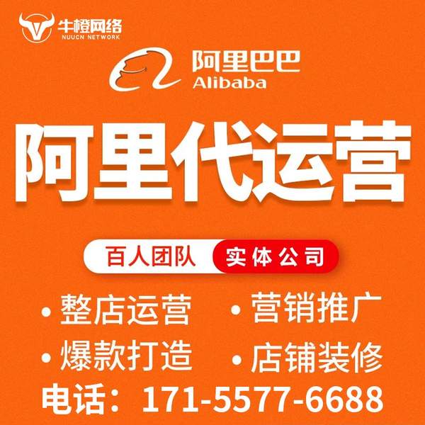 辽源电商代运营