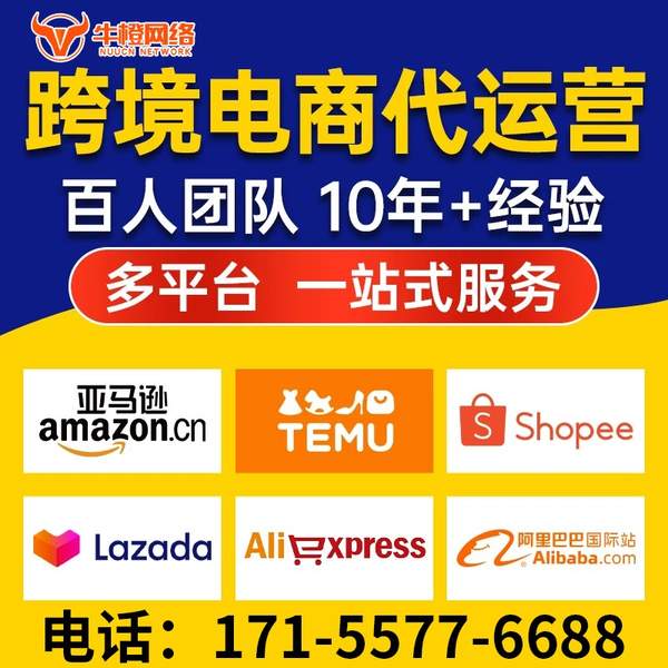 辽源电商代运营