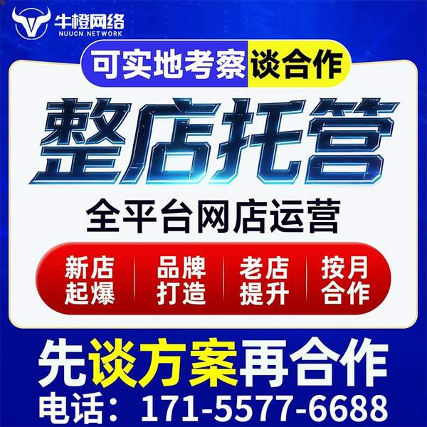 辽源电商代运营