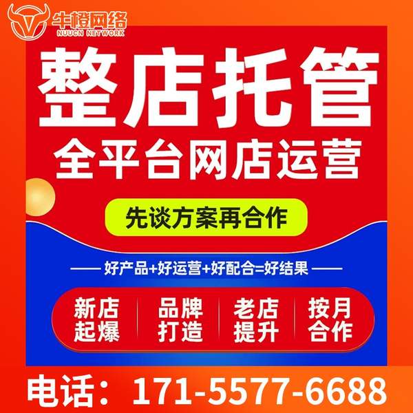 辽源电商代运营