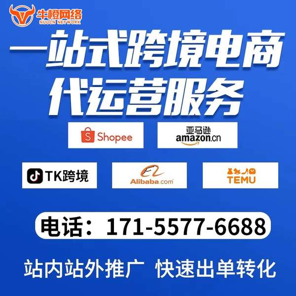 辽源电商代运营