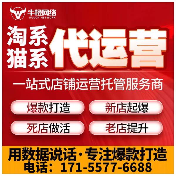 辽源电商代运营